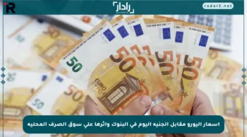 أسعار اليورو مقابل الجنيه اليوم في البنوك وأثرها على سوق الصرف المحلية